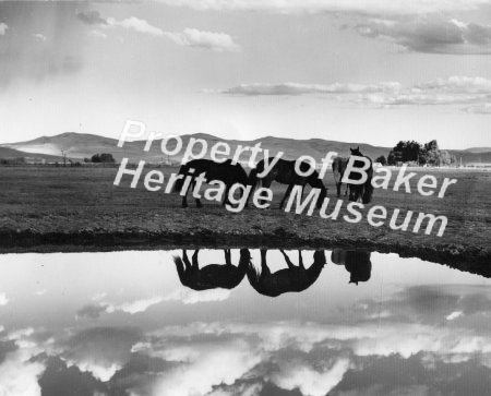 Baker area scenes taken in 1946-47, including Powder River Valley, Anthony