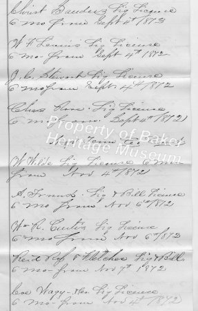 1872-1873 license list 2