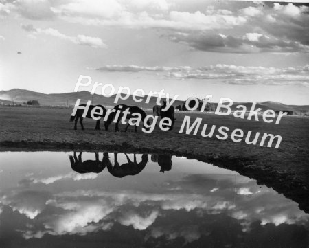 Baker area scenes taken in 1946-47, including Powder River Valley, Anthony