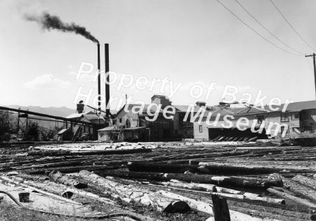 Oregon Lumber Company