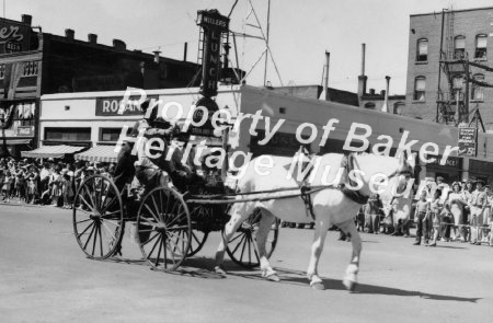 Horse & buggy taxi