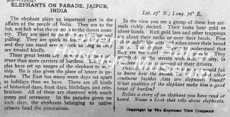 Elephants on parade, Jaipur, India.