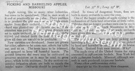 Picking and Barreling Apples, Missouri desc