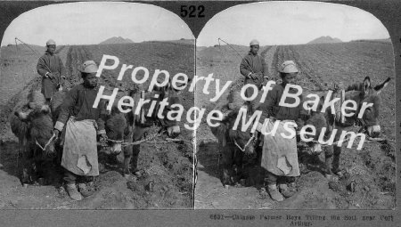 Chinese boys plowing near Port Arthur, China