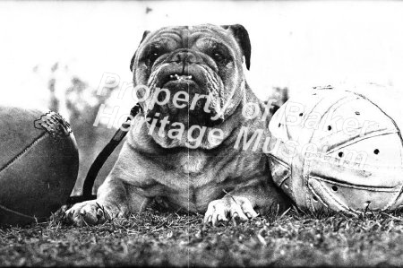 Baker Bull Dog(Mascot) in undated photo