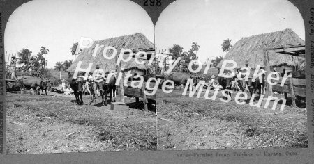 Farming scene, Province of Havana, Cuba