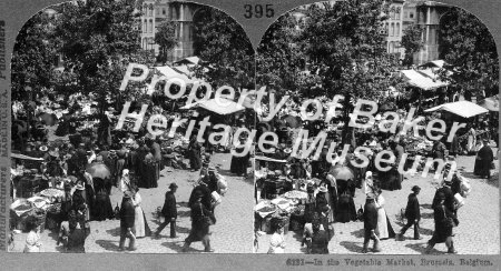 The Vegetable market, Brussels, Belgium