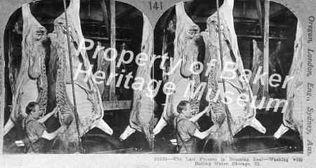 The last process in dressing beef, Chicago, Illinois