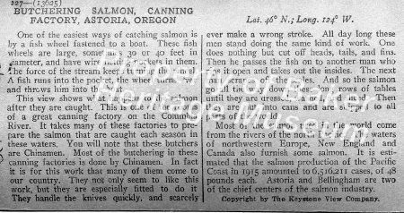 Butchering Salmon, Canning Factory, Astoria, OR