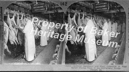 Splitting backbones and final inspection of hogs-Packing House, Chicago, Il