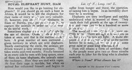 Royal elemphant hunt, Siam