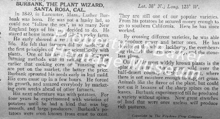 Burbank, the plant wizard, Santa Rosa, CA desc