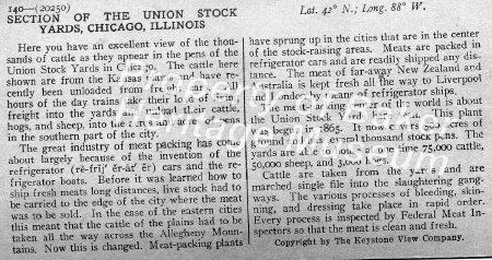 Section of the Union Stock Yards, Chicago, Illinois