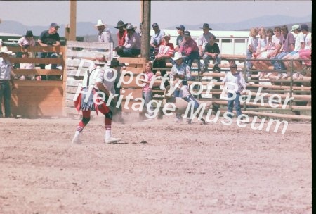 Mutton and Bronc busting