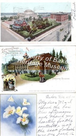 Postcard Album, ca. 1904-1907