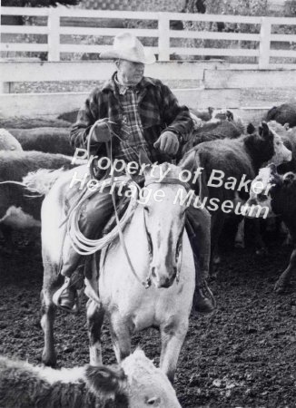 Orville Fisher roping cattle