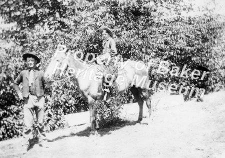 Boy on father's horse with woo