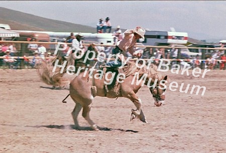 Mutton and Bronc busting