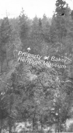 Men standing on large rock outcropping