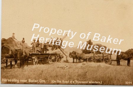 Harvesting near Baker City