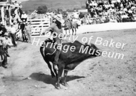 On the bull