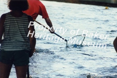 Hewlitt Park, fishing