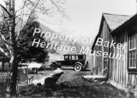 Homestead cabin