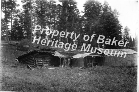 Examples of early Baker County cabins.