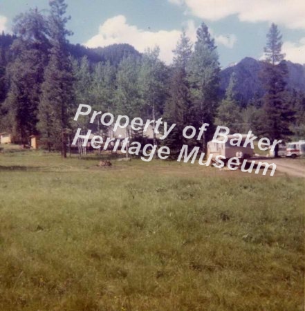 Meadow, Trees & Trailor