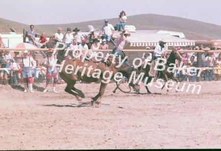 Mutton and Bronc busting