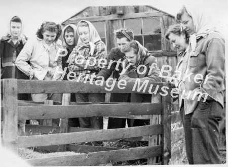 Girls Scouts, 1947