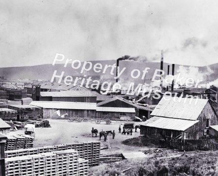 Oregon Lumber Mill, ca. 1900