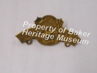 Pin, Fraternal