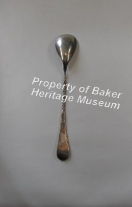 Windsor Twist Bar Spoon