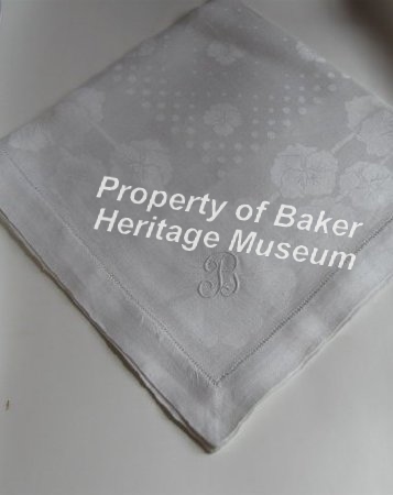 Napkin